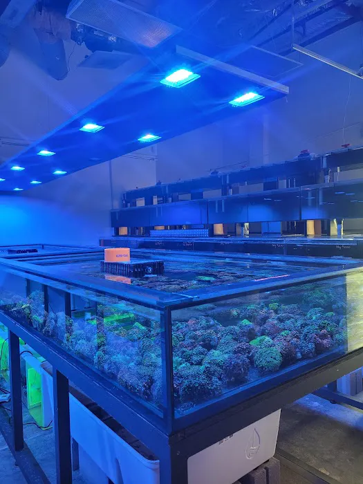 Aqua Plus Aquarium Picture 6