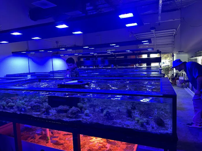 Aqua Plus Aquarium Picture 10