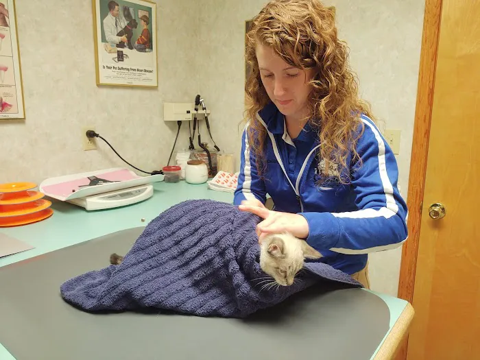 All Creatures Veterinary Hospital Picture 10