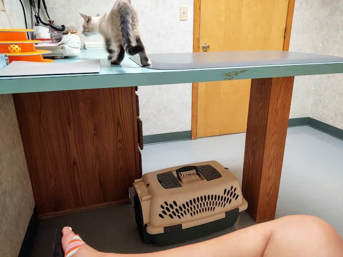 All Creatures Veterinary Hospital Picture 4