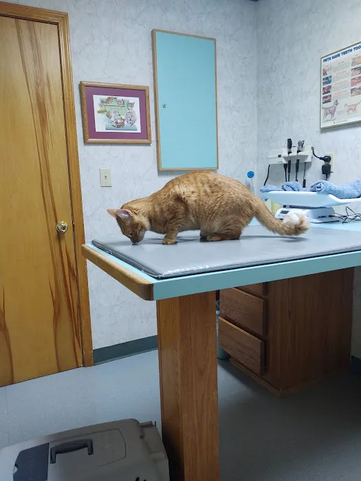 All Creatures Veterinary Hospital Picture 6