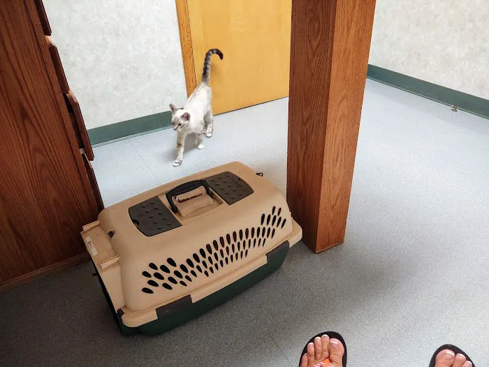 All Creatures Veterinary Hospital Picture 1