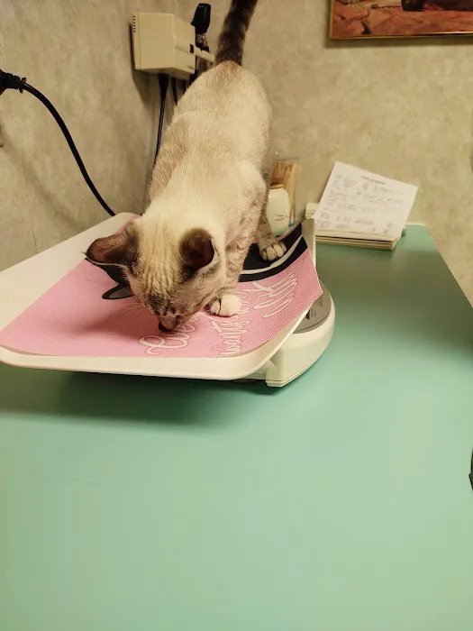 All Creatures Veterinary Hospital Picture 2