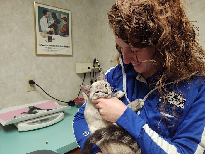 All Creatures Veterinary Hospital Picture 9