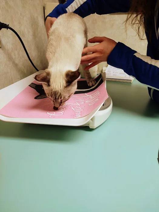 All Creatures Veterinary Hospital Picture 7