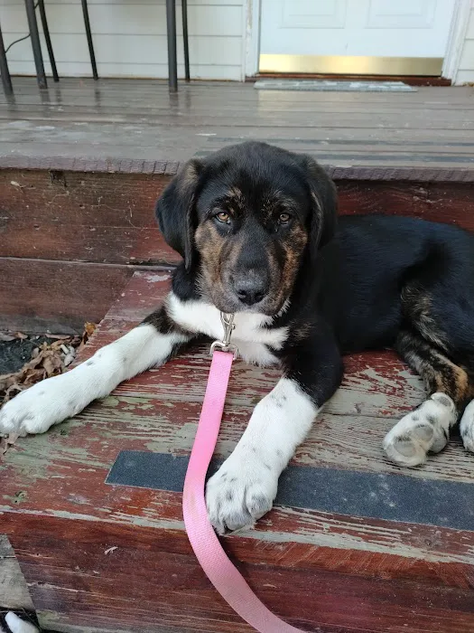 Seneca Falls Veterinary Hospital Picture 5