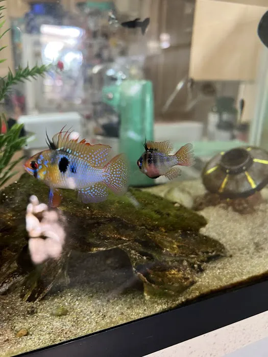 Infinite Aquarium Picture 6