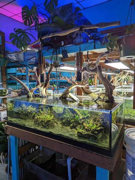 Infinite Aquarium Picture 5