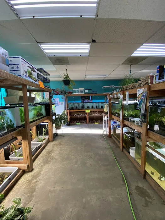 Infinite Aquarium Picture 4