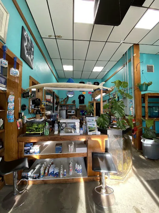 Infinite Aquarium Picture 2