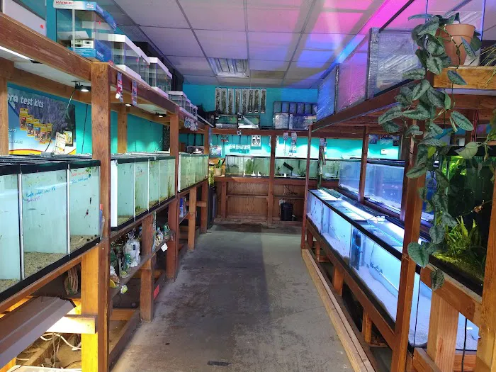 Infinite Aquarium Picture 8
