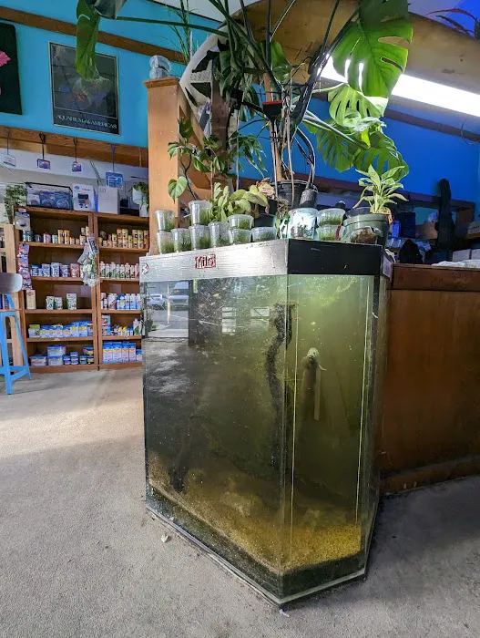 Infinite Aquarium Picture 1