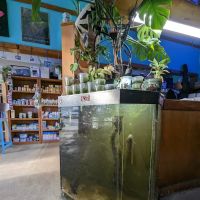 Infinite Aquarium ico