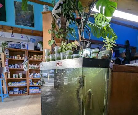 Infinite Aquarium