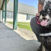 Eastview Veterinary Clinic, PC ico