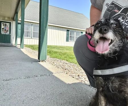 Eastview Veterinary Clinic, PC