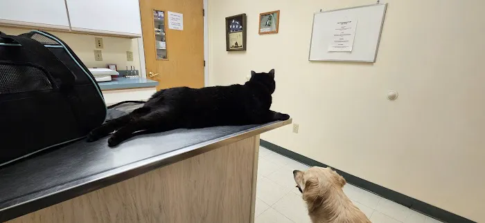 Eastview Veterinary Clinic, PC Picture 4