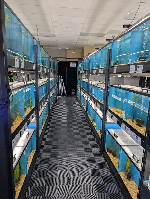 Finatics Aquarium Picture 4