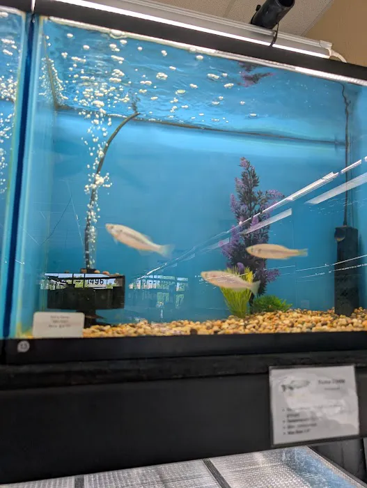 Finatics Aquarium Picture 9