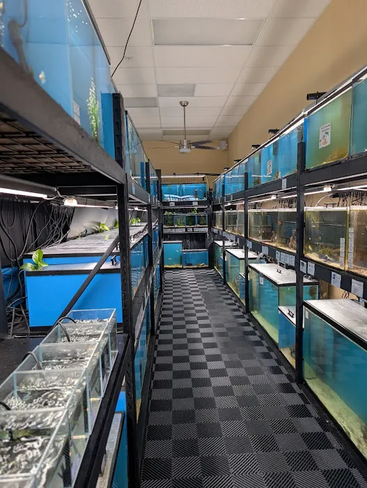 Finatics Aquarium Picture 1