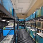 Finatics Aquarium