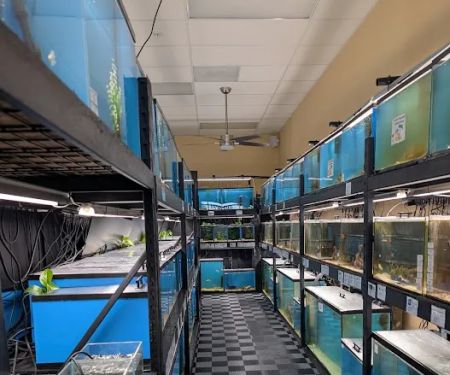 Finatics Aquarium