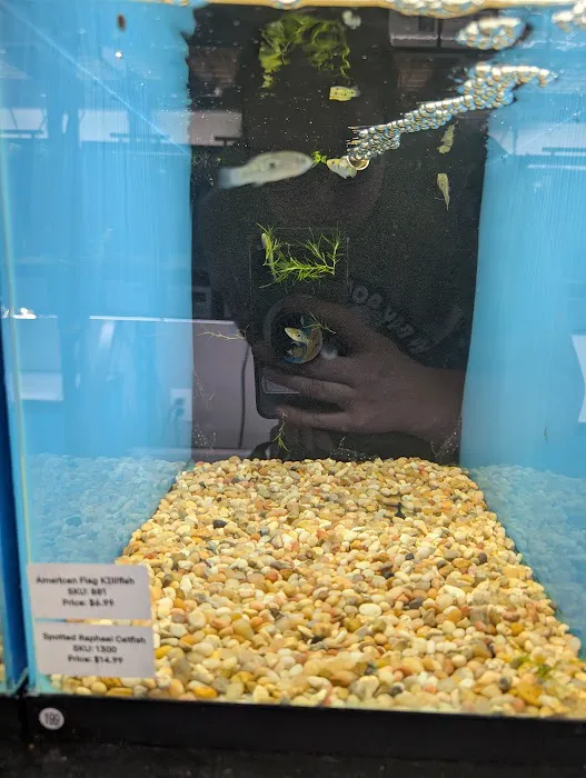 Finatics Aquarium Picture 6