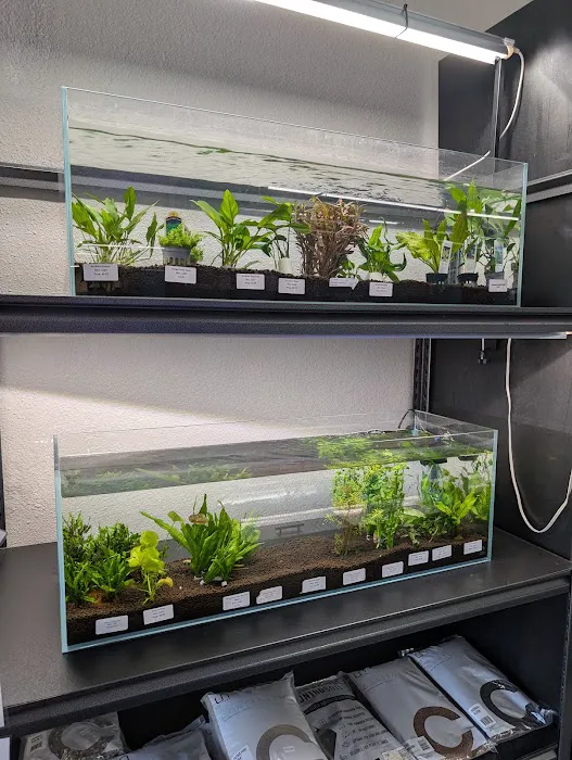 Finatics Aquarium Picture 2