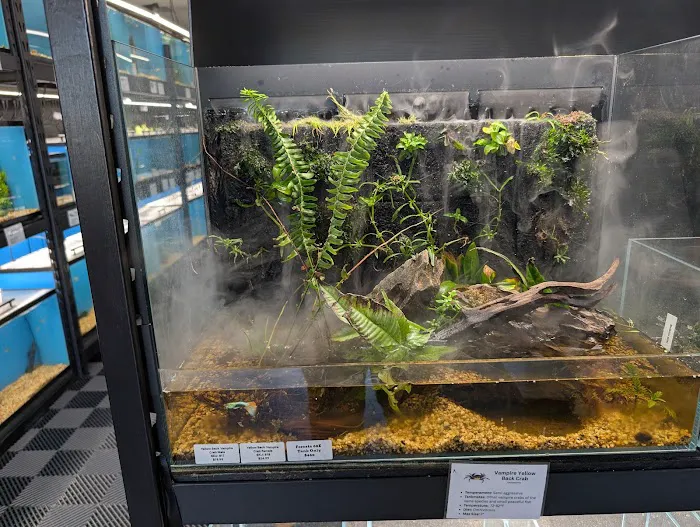 Finatics Aquarium Picture 10