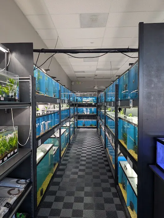 Finatics Aquarium Picture 7