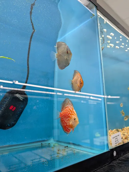 Finatics Aquarium Picture 8