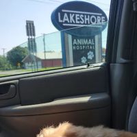 Lakeshore Animal Hospital ico