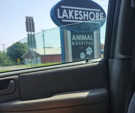 Lakeshore Animal Hospital