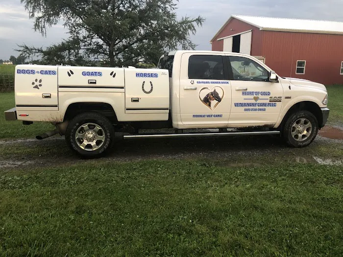 Heart Of Gold Veterinary Care PLLC Picture 8