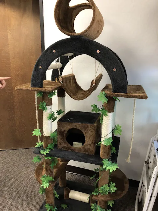 Go Pet Club Picture 1