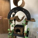 Go Pet Club