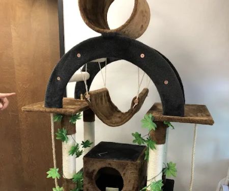 Go Pet Club