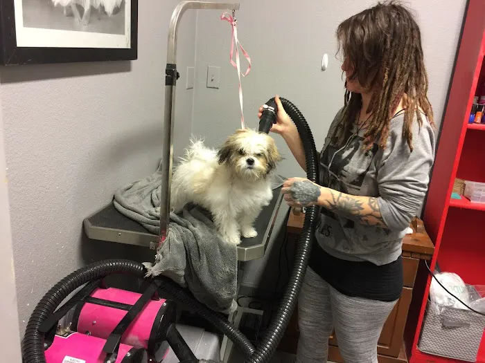 Go Pet Club Picture 10