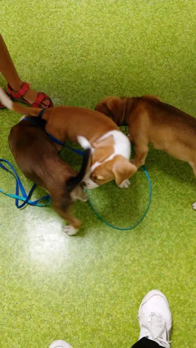 Geneva Veterinary Hospital Picture 2