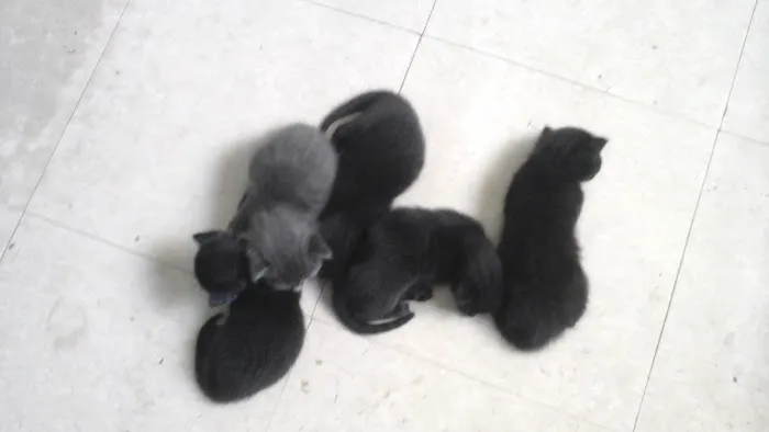 Geneva Veterinary Hospital Picture 7
