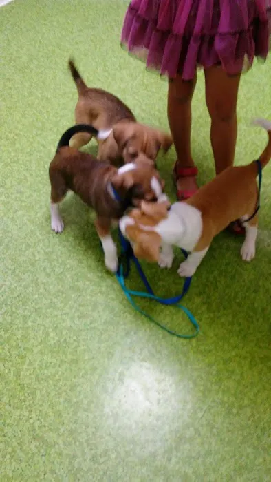 Geneva Veterinary Hospital Picture 3