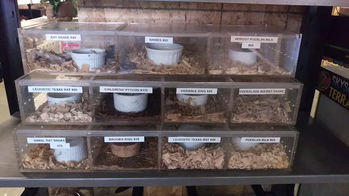 Shedskin Reptiles Picture 8