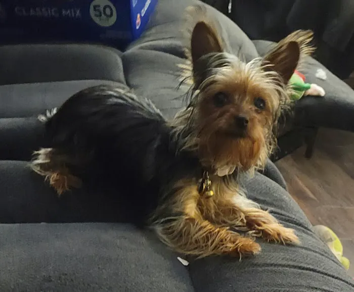 Snacky Snax Barkery Picture 2