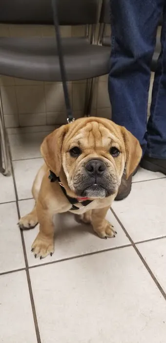 Weedsport Animal Hospital Picture 7