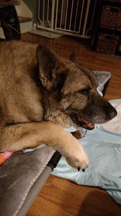 Weedsport Animal Hospital Picture 1