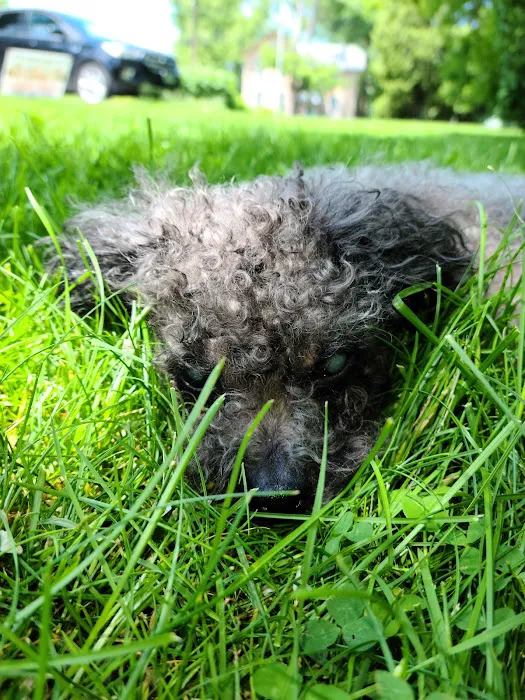 Weedsport Animal Hospital Picture 2