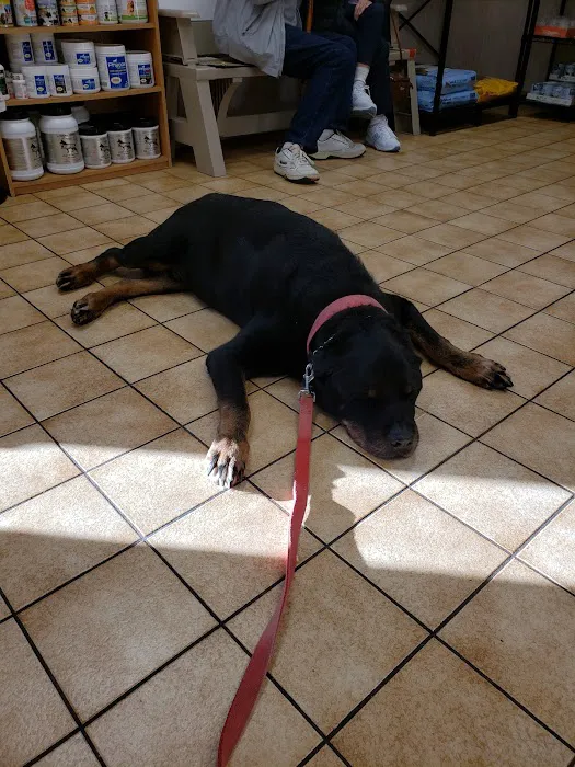 Marcellus Veterinary Hospital Picture 3