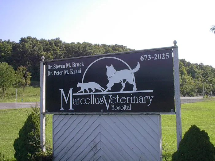 Marcellus Veterinary Hospital Picture 1