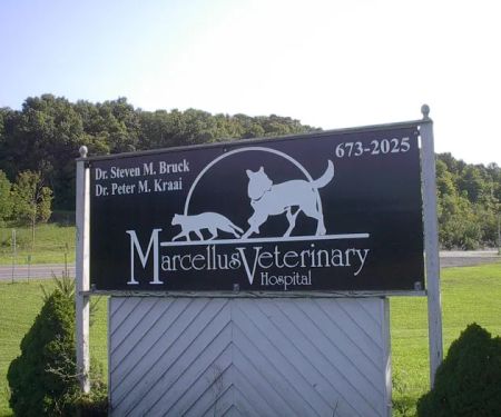 Marcellus Veterinary Hospital