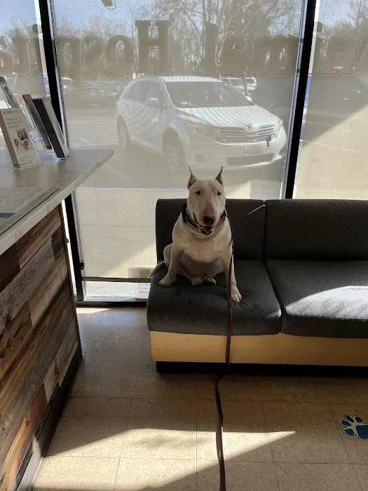 Petco Picture 9